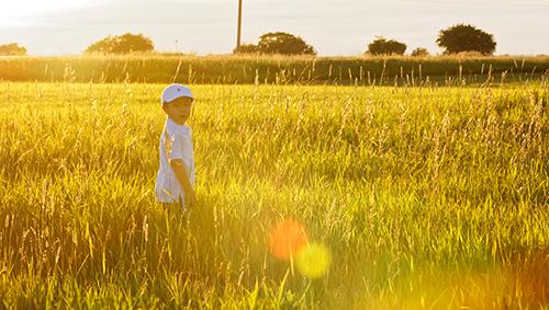 Three-year-old son Valentin walking through a golden field