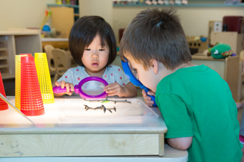 Two children looking at objects through magnifying glasses